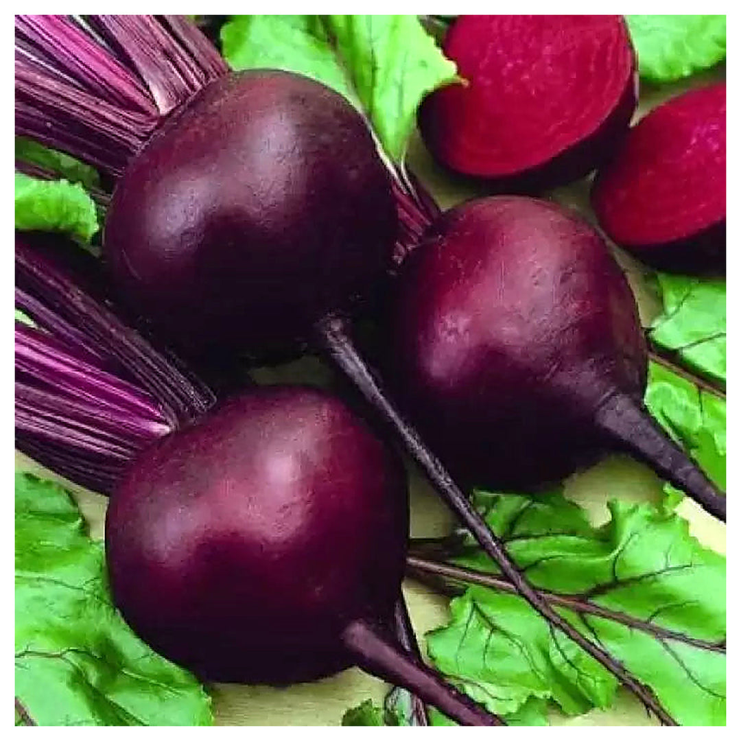 Red Beetroot Seeds for Planting – Heirloom, Non-GMO, Organic Garden Seeds, High Germination | Neera Seeds product photo [neera-v4-ba725a33c72176423bb0]