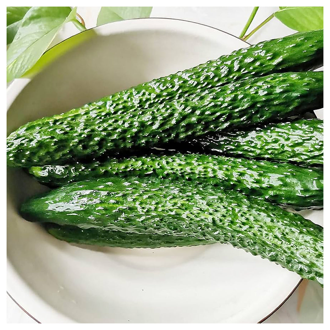 Japanese Long Cucumber Seeds for Planting – Heirloom, Non-GMO, High Germination Organic Garden Seeds for Crisp & Fl | Neera Seeds product photo [neera-v4-bb284bc1551991d9b066]