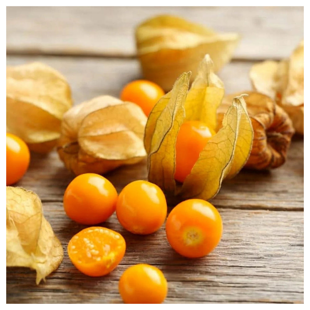 Golden Berry / Cape Gooseberry Seeds – Rare Physalis peruviana Superfruit for Planting, Heirloom & Non-GMO | Neera Seeds product photo [neera-v4-bda33ee40ae3885c4911]