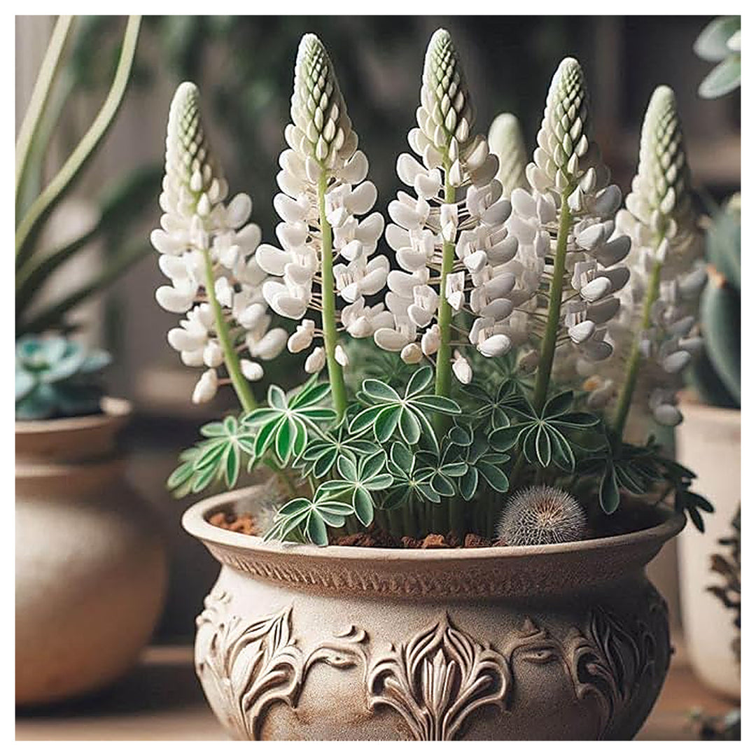 Heirloom Non-GMO White Bonnet Flower Seeds for Planting – Elegant Blooms for Garden Borders | Neera Seeds product photo [neera-v4-bf976dd513eb73cb0bc7]
