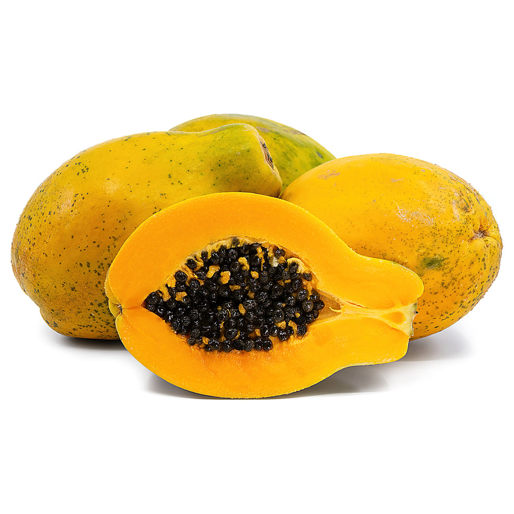 Sunrise Papaya (Strawberry Papaya) Fruit Seeds for Planting – Heirloom Non-GMO High Germination Organic Garden Seed | Neera Seeds product photo [neera-v4-c1a417dec1a79704daac]