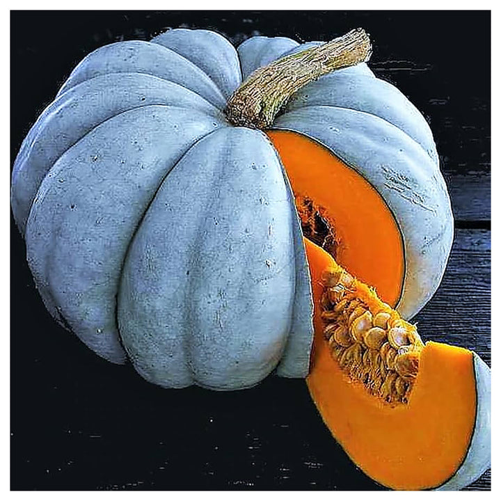 Blue Doll Pumpkin Planting Jarradale Queensland Cinderella Doll Heirloom Non Gmo Flower Seeds | Neera Seeds product photo [neera-v4-c231aaeb61d58228102e]