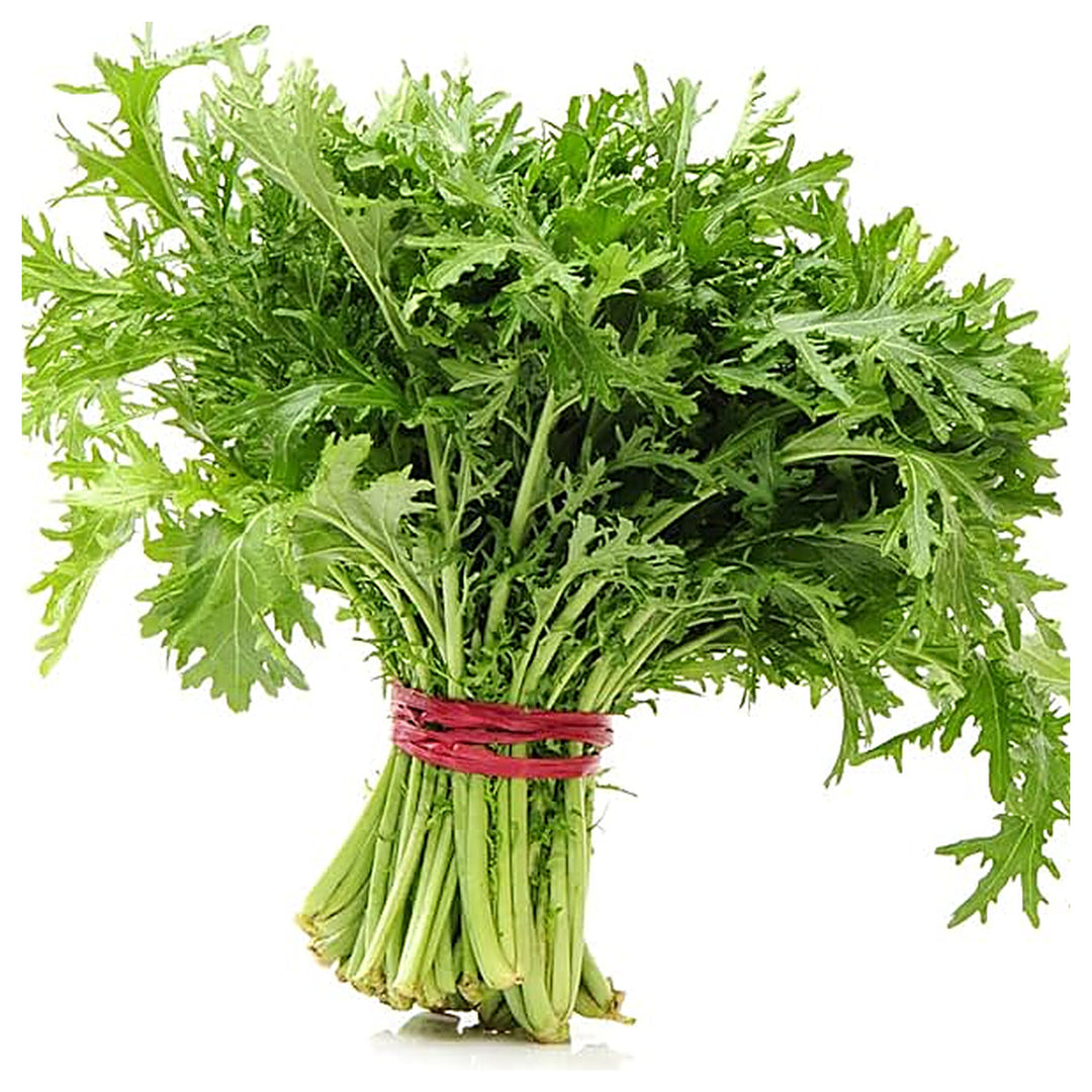 Mizuna Japanese Mustard Greens Seeds – Heirloom, Fast-Growing, Cold Hardy, Asian Leafy Vegetable | Neera Seeds product photo [neera-v4-c35a255a21e1ed801196]