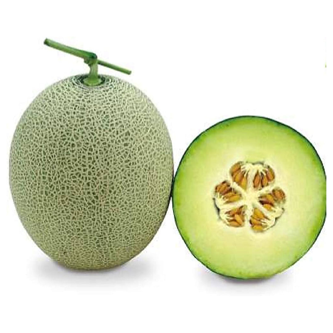 Green Muskmelon Fruit Seeds for Planting – Sweet Melons for Home Garden, Heirloom & Non-GMO Seeds | Neera Seeds product photo [neera-v4-c3689dd4cfabb98bf8e6]