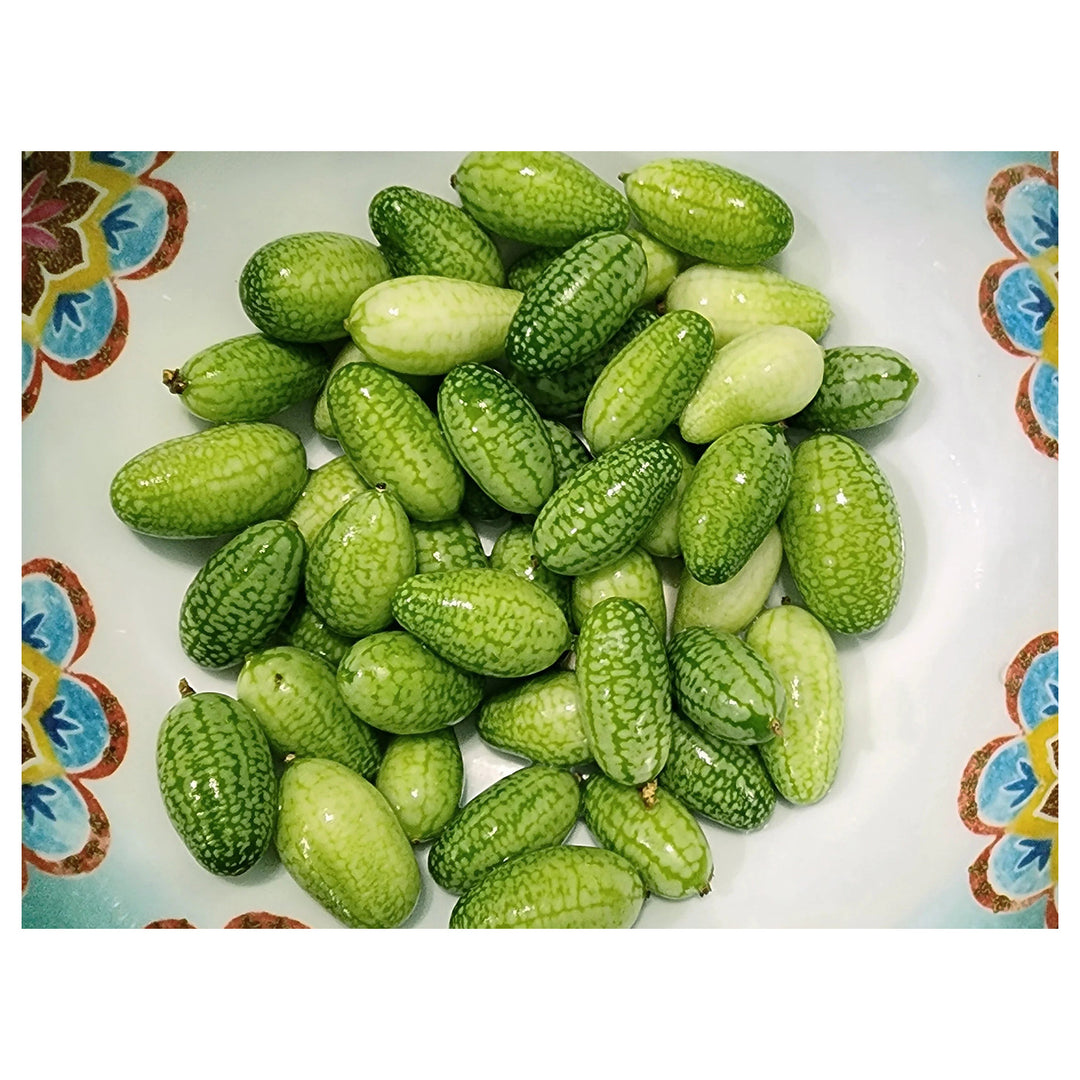 Heirloom Non-GMO Cucamelon Seeds (Green Scabra) for Planting | Organic Garden High Germination Seeds | Neera Seeds product photo [neera-v4-c8aac563f5152fb8f019]