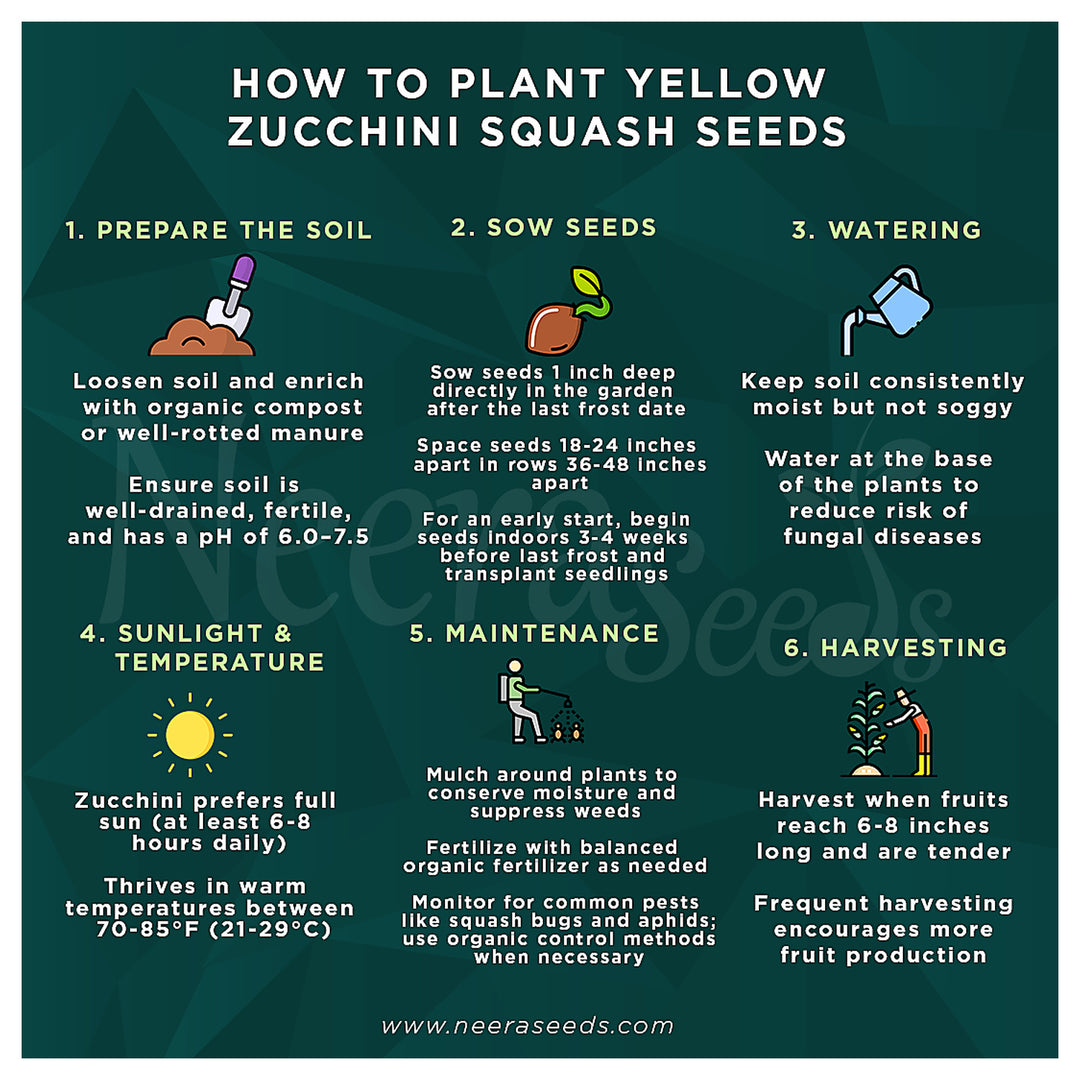 Yellow Zucchini Squash Vegetable Seeds for Planting – Heirloom & Non-GMO Garden Seeds | Neera Seeds product photo [neera-v4-c8c8b222d92c66579f44]