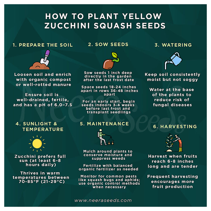 Yellow Zucchini Squash Vegetable Seeds for Planting – Heirloom &amp; Non-GMO Garden Seeds | Neera Seeds product photo [neera-v4-c8c8b222d92c66579f44]