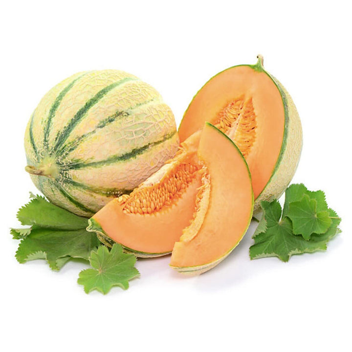 Charentais Cantaloupe Melon Seeds – Heirloom Netted Musk Melon with Sweet Orange Flesh for Home Garden Planting | Neera Seeds product photo [neera-v4-c8e72688f15865064285]