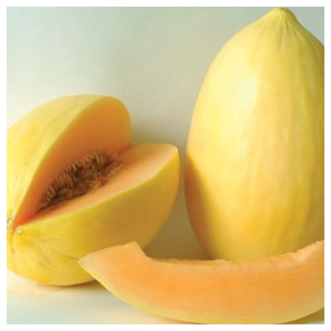 Crenshaw Melon Seeds – Grow Sweet &amp; Juicy Heirloom Melons | Neera Seeds product photo [neera-v4-c9a4e3c97bb155e189ef]