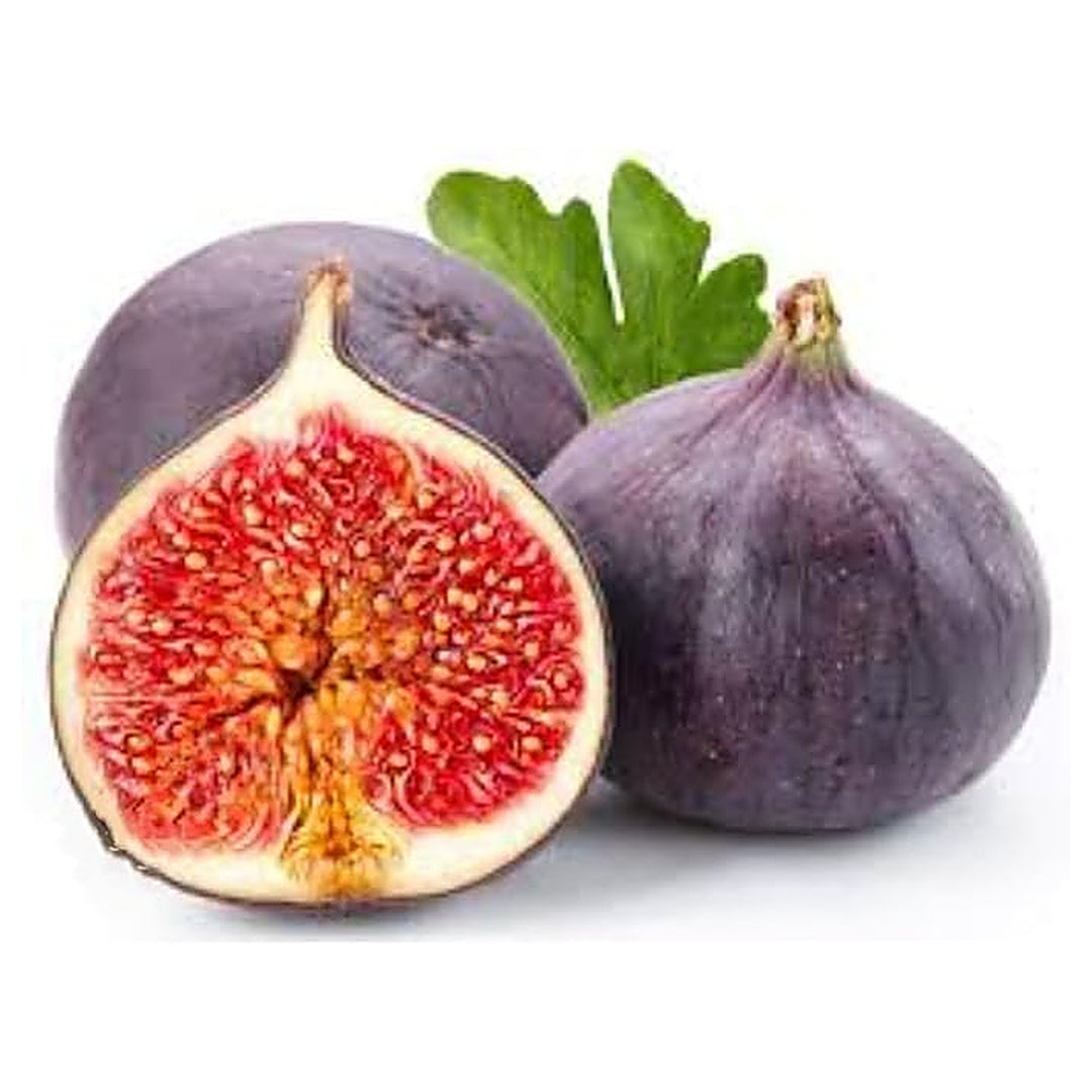Fig Tree Seeds – Black Sweet Fruit Shrub & Bonsai, Grow Mediterranean Figs, Heirloom & Non-GMO Seeds | Neera Seeds product photo [neera-v4-cda73fcc003df2368222]