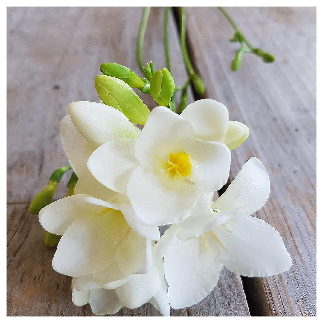 White Freesia Seeds for Planting – Organic, Heirloom, Non-GMO Flower Seeds | Neera Seeds product photo [neera-v4-d0038e21e4c0b9508e33]