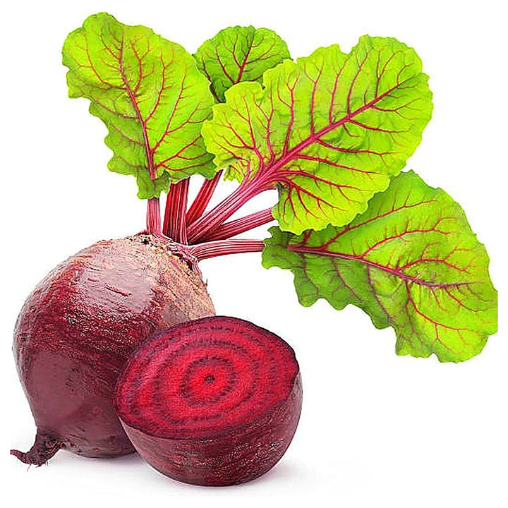 Beetroot Beta Vulgaris Vegetable For Planting Flower Seeds for Home Garden Planting, Lush Organic | Neera Seeds product photo [neera-v4-d22e4c173e29683683a5]