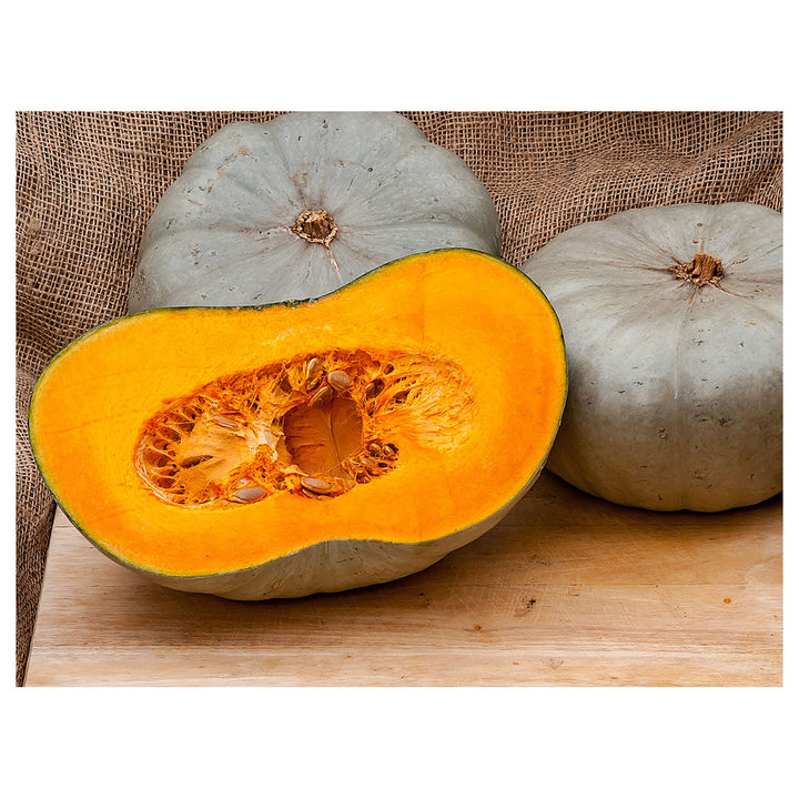Centner Nelson Pumpkin Seeds for Planting – Heirloom, Non-GMO, High Germination, Organic Garden Seeds | Neera Seeds product photo [neera-v4-d3d83401463368bac06c]