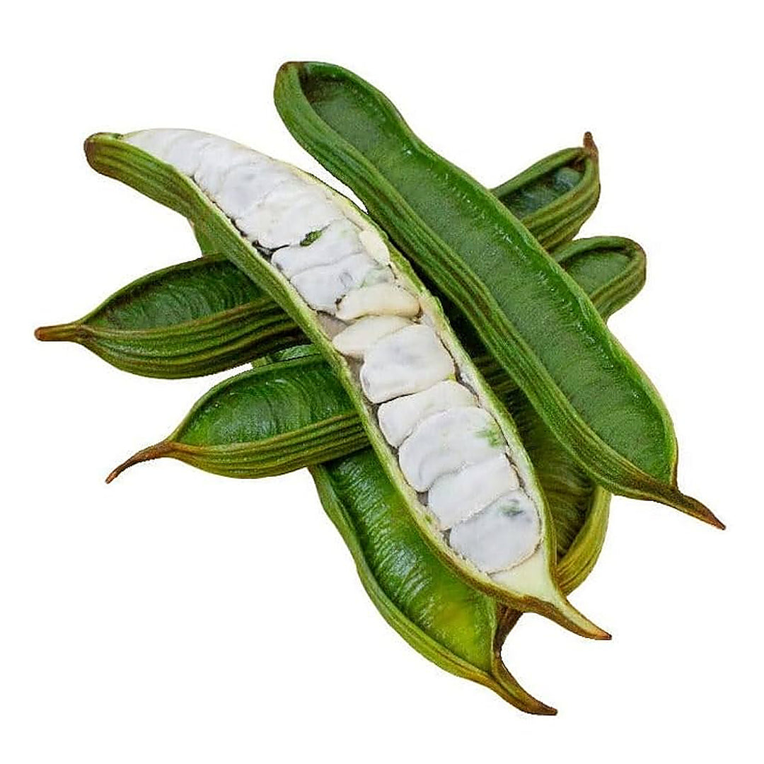 Ice Cream Bean Seeds for Planting – Inga Edulis, Tropical Fruit Tree Seeds, Heirloom, Non-GMO | Neera Seeds product photo [neera-v4-d3fdb9f122accc7da55d]