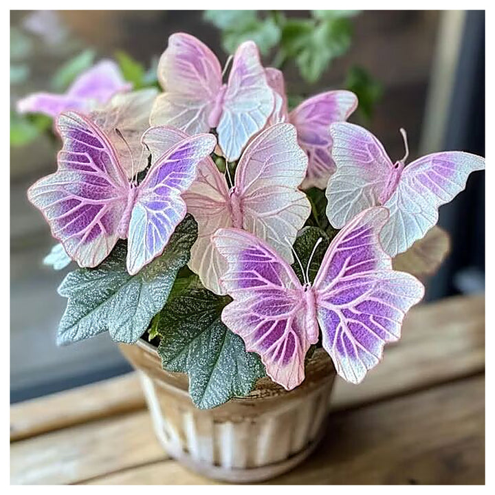 Pink Moonlight Butterfly Begonia Flower Seeds Heirloom Non-GMO High Germination Seeds | Neera Seeds product photo [neera-v4-d53dc5c4ff2dd99ce0ae]