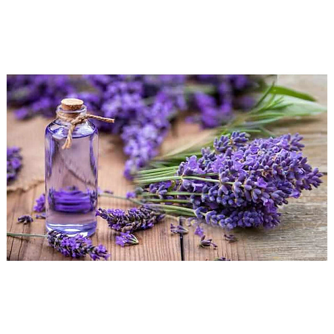 Lavender Mini Violet Flower Seeds for Planting – Heirloom, Non-GMO, High Germination Organic Garden Seeds | Neera Seeds product photo [neera-v4-d6364a3693b739bd5e50]