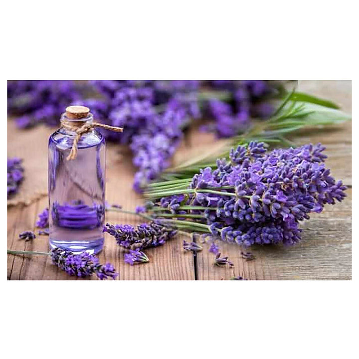 Lavender Mini Violet Flower Seeds for Planting – Heirloom, Non-GMO, High Germination Organic Garden Seeds | Neera Seeds product photo [neera-v4-d6364a3693b739bd5e50]