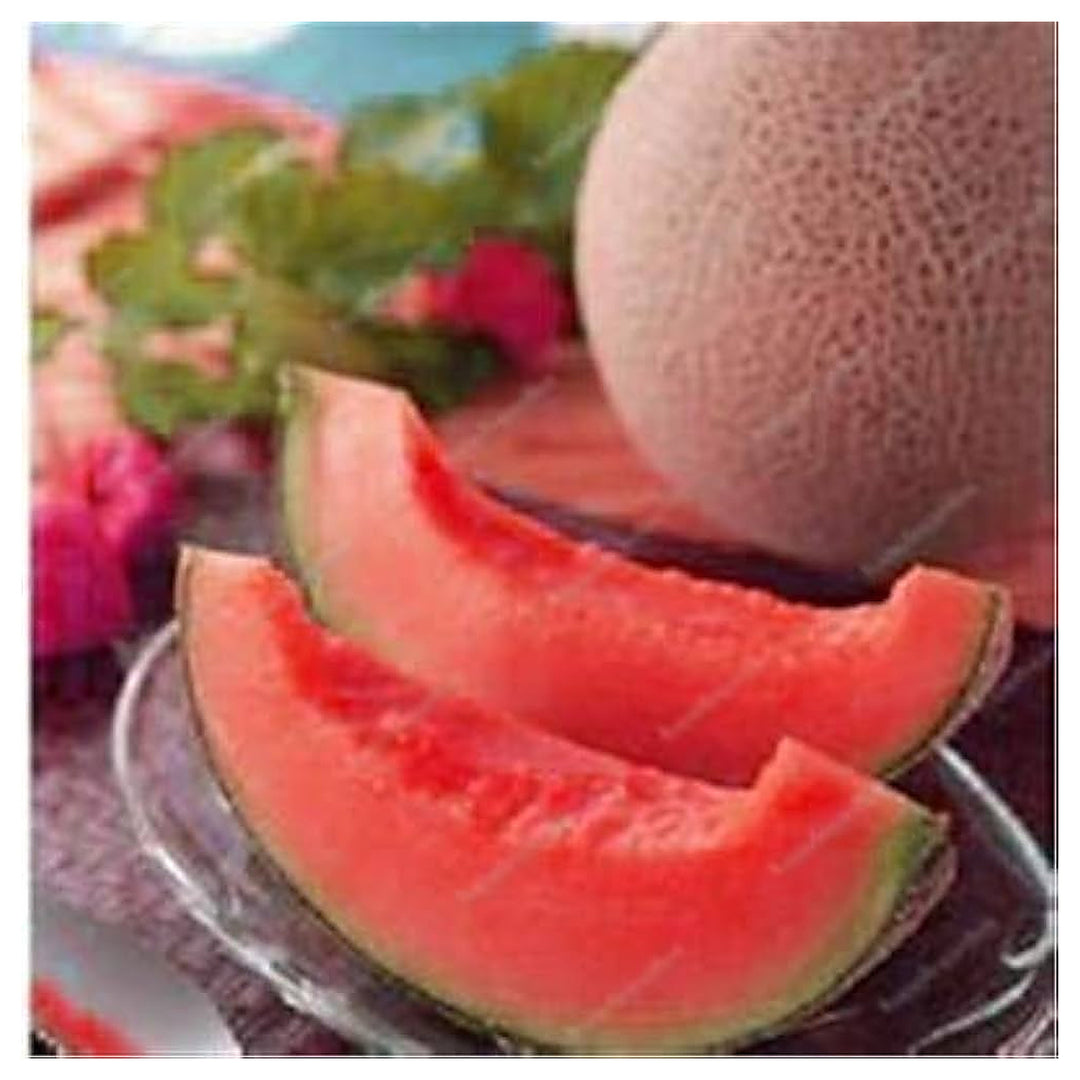 Melon Lesya Fruit Seeds for Planting – Heirloom, Non-GMO, High Germination Organic Garden Seeds for Sweet, Juicy Me | Neera Seeds product photo [neera-v4-d89b9533f9c8ddaaf545]