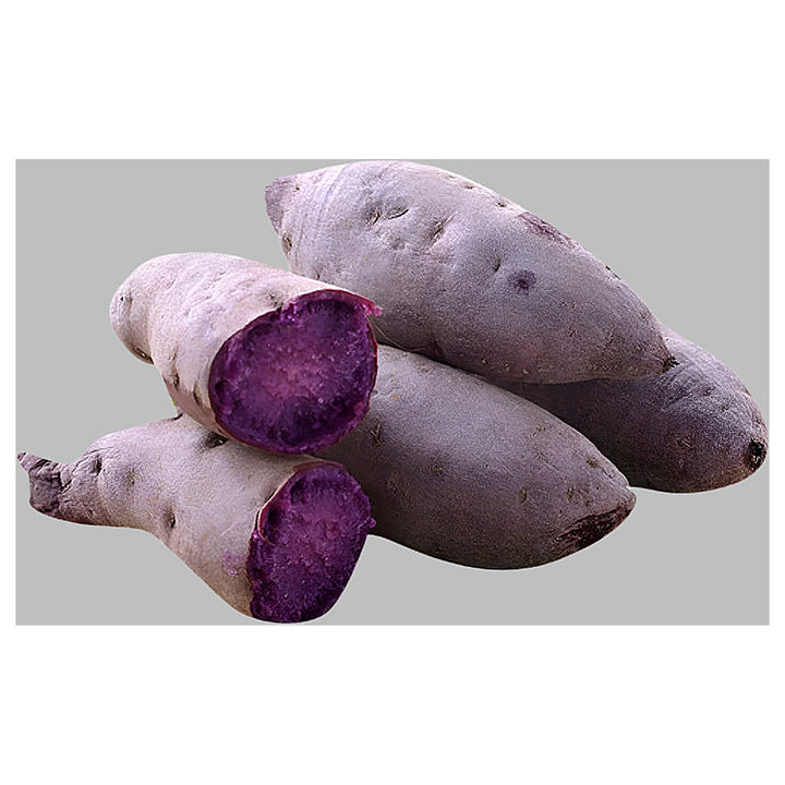 Light Violet Sweet Potato Seeds for Planting – Heirloom, Non-GMO Organic Garden Seeds | Neera Seeds product photo [neera-v4-d8e04155197afb2d1bf5]