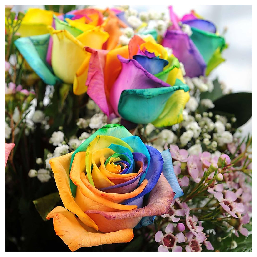 Mystic Rainbow Rose Bush Rosa Spp For Planting In Flower Bed Flower Seeds for Home Garden Planting, | Neera Seeds product photo [neera-v4-d9387976f50e790b3fb0]