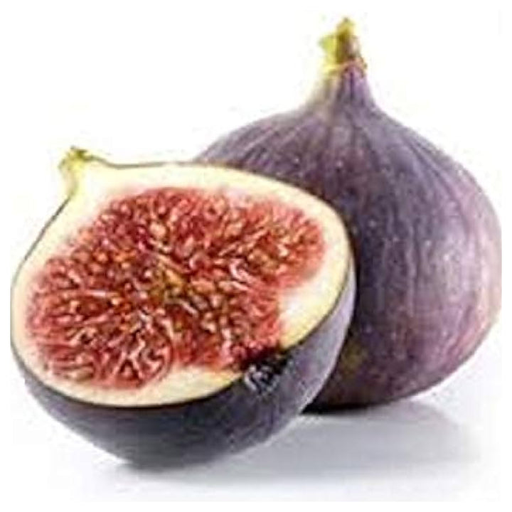 Purple Fig Garden Ficus Carica Flower Seeds Home Garden Planting, Vibrant Organic Blooming | Neera Seeds product photo [neera-v4-db9c647fd59b94f277e1]