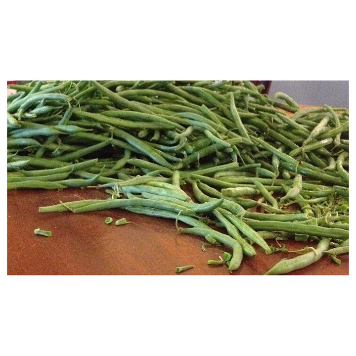 Stringless Bean Vegetable Seeds for Planting – Heirloom, Non-GMO, High Germination, Organic Garden Seeds | Neera Seeds product photo [neera-v4-dca08b0daf2d36284a4b]