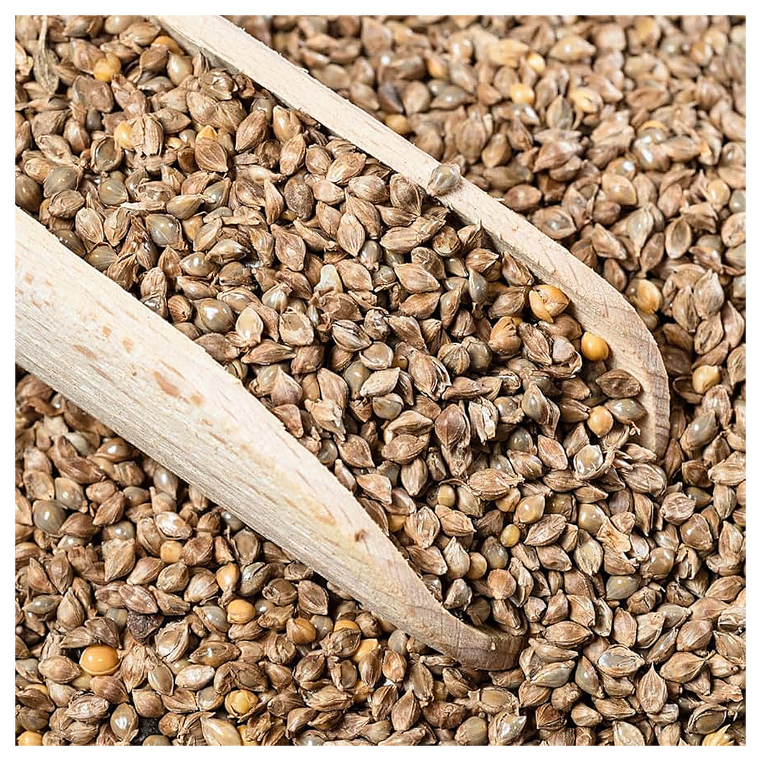 Japanese Reed Millet Seeds for Planting – High-Yield Ornamental and Wildlife Forage Grass, Heirloom Non-GMO Seeds | Neera Seeds product photo [neera-v4-ddd8a51d4c33c4ddcc3e]