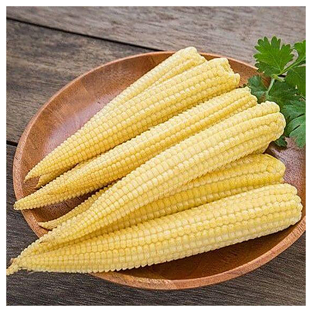 Baby Corn Seeds for Planting – High-Yield Hybrid Sweet Corn Seeds, Heirloom &amp; Non-GMO Garden Vegetable Seeds | Neera Seeds product photo [neera-v4-dddbe5cee24948c1ab4b]
