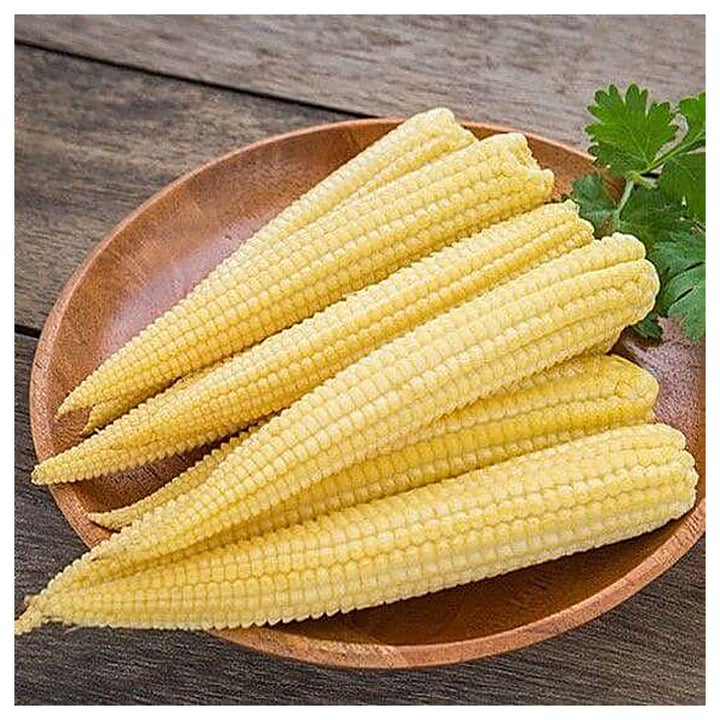 Baby Corn Seeds for Planting – High-Yield Hybrid Sweet Corn Seeds, Heirloom &amp; Non-GMO Garden Vegetable Seeds | Neera Seeds product photo [neera-v4-dddbe5cee24948c1ab4b]
