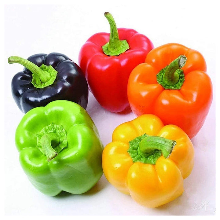 Sweet Pepper Rainbow Vegetable Seeds for Planting | Heirloom, Non-GMO, High Germination Organic Garden Seeds | Neera Seeds product photo [neera-v4-dee34bcdeefae79f7d35]