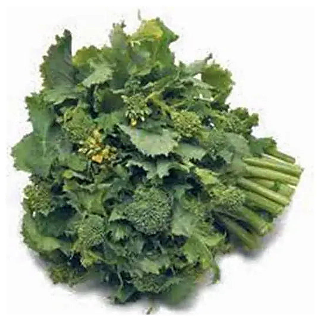Broccoli Raab Seeds for Planting – Heirloom, Non-GMO, Fast-Growing Italian Sprouting Greens | Neera Seeds product photo [neera-v4-e20ba713ca96a12ed7ce]