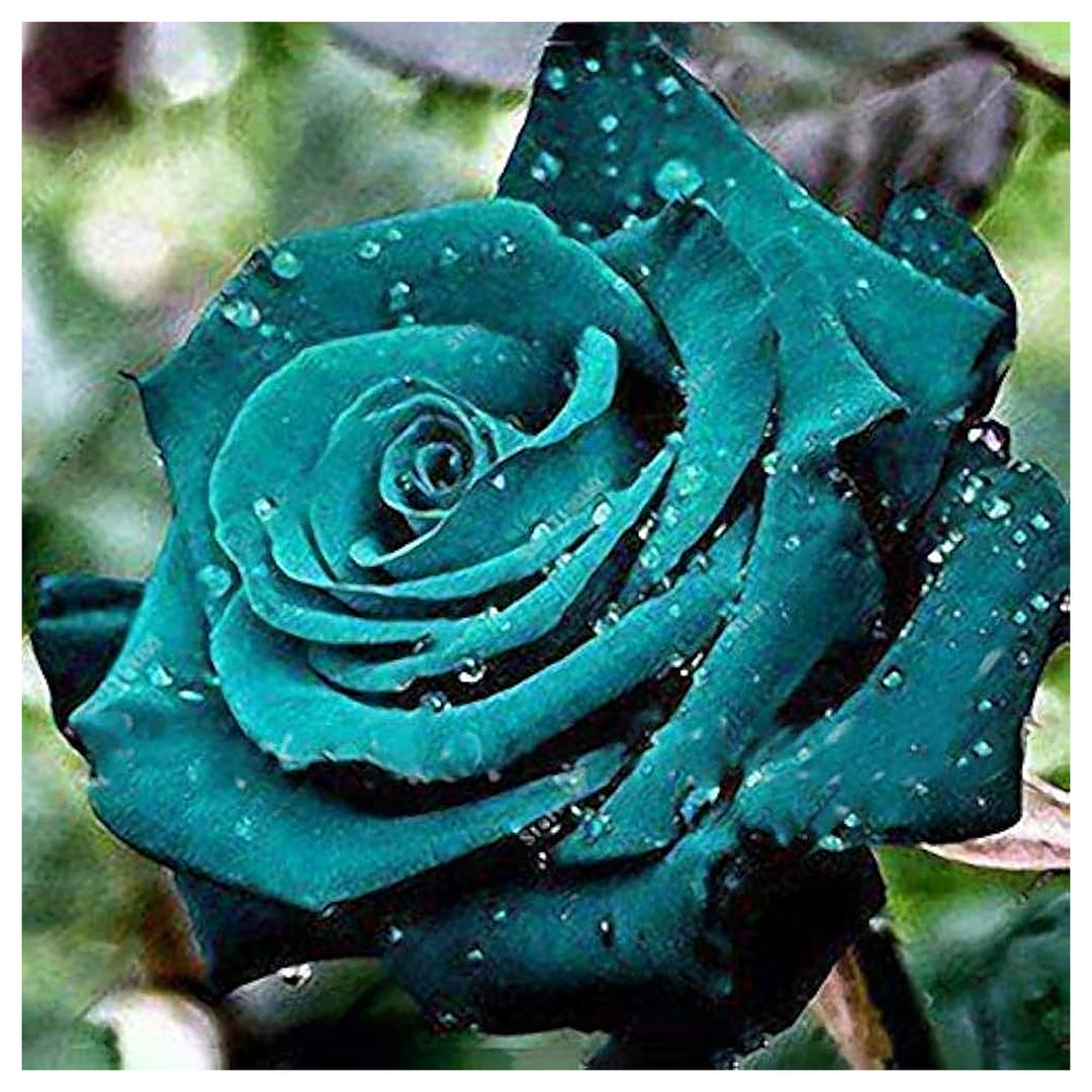 Rose Tree Flower Seeds for Home Garden Planting, Decorative Organic Blooming Collection for Outdoor | Neera Seeds product photo [neera-v4-e25dcc02472896d20dd6]