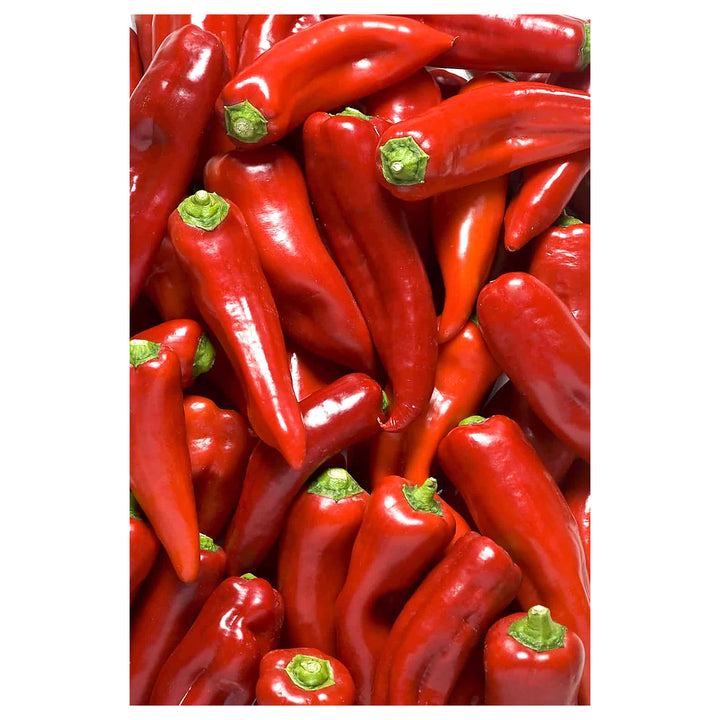 Pepper Seeds for Planting, 100 pcs | Neera Seeds product photo [neera-v4-e4a98af464ca0e953be8]