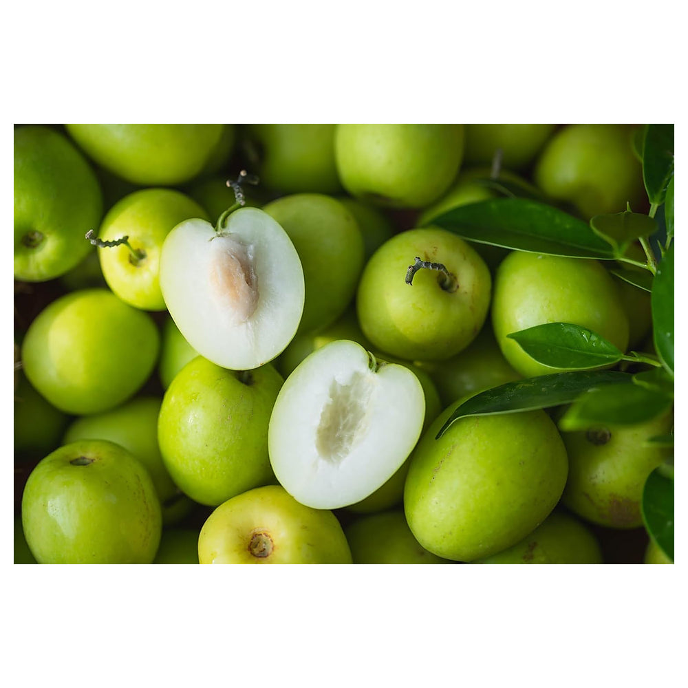 Jujube Apple Grafted Fruit Seeds for Planting – Heirloom, Non-GMO, High Germination Organic Garden Seeds for Fruitf | Neera Seeds product photo [neera-v4-e72f8877043337f95e5c]