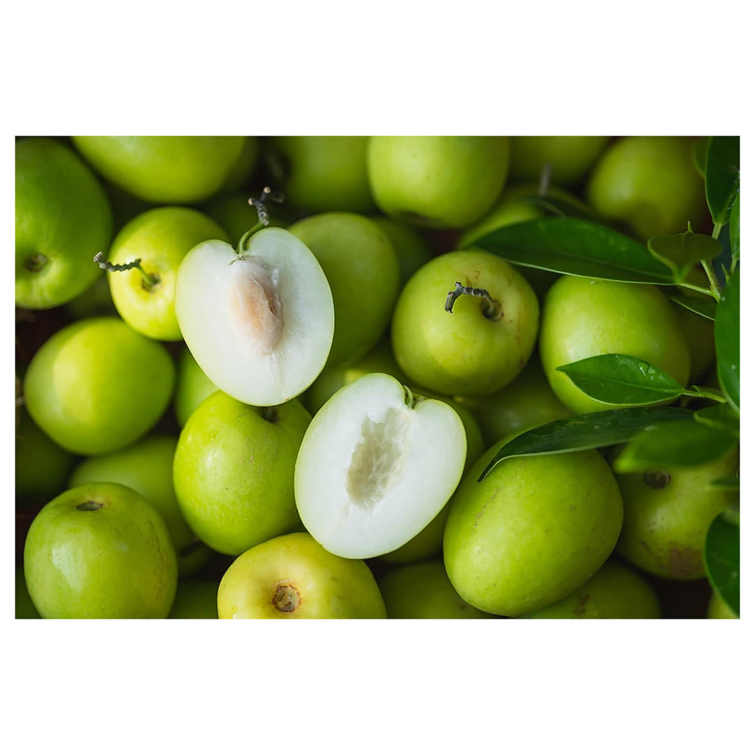 Jujube Apple Grafted Fruit Seeds for Planting – Heirloom, Non-GMO, High Germination Organic Garden Seeds for Fruitf | Neera Seeds product photo [neera-v4-e72f8877043337f95e5c]