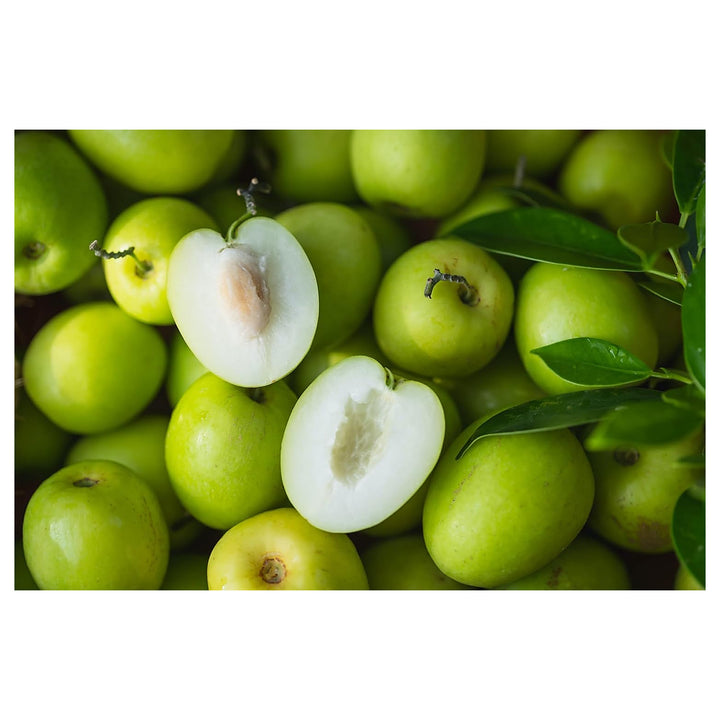 Jujube Apple Grafted Fruit Seeds for Planting – Heirloom, Non-GMO, High Germination Organic Garden Seeds for Fruitf | Neera Seeds product photo [neera-v4-e72f8877043337f95e5c]