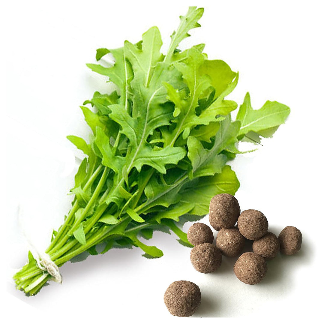 Arugula Rocket Seeds for Planting – Fast-Growing Heirloom Leafy Greens | Neera Seeds product photo [neera-v4-e95e03c286788e9f4be7]