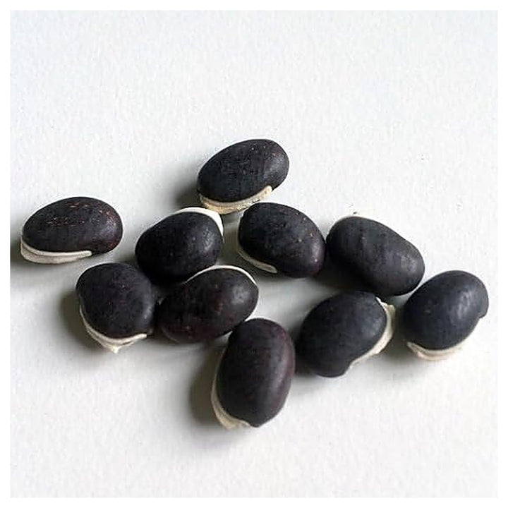 Hyacinth Bean Seeds for Planting – Fast-Growing, Climbing Vine with Vibrant Purple Flowers | Neera Seeds product photo [neera-v4-e9f2f8ad47f66757c695]