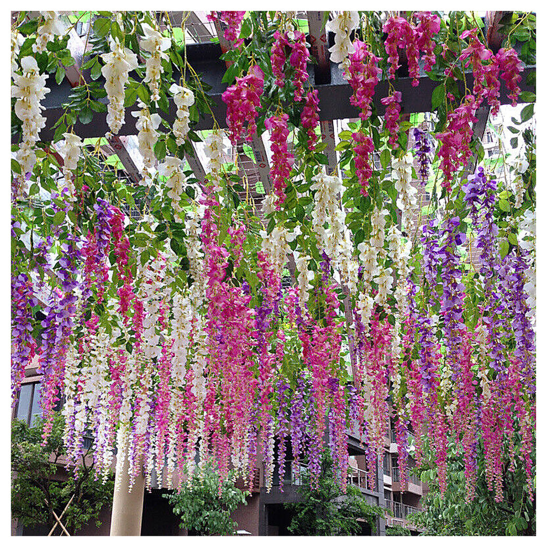 Mixed Wisteria Flower Seeds for Planting – Heirloom, Non-GMO Climbing Vine Seeds for Garden | Neera Seeds product photo [neera-v4-ea8bc982ce31879ad0b3]