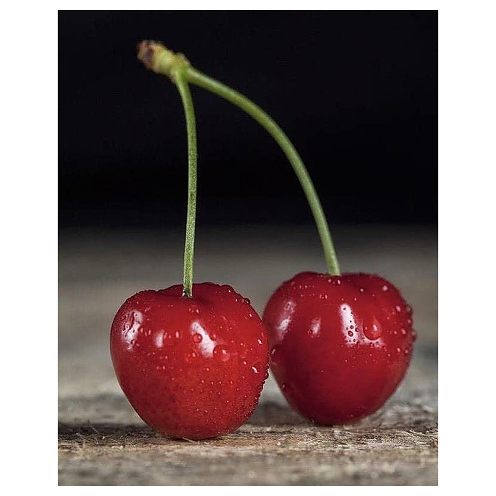 Lapins Sweet Cherry Fruit Seeds for Garden Planting – Heirloom, Non-GMO, Juicy Red Fruit | Neera Seeds product photo [neera-v4-eacecead772b44fcb8cb]