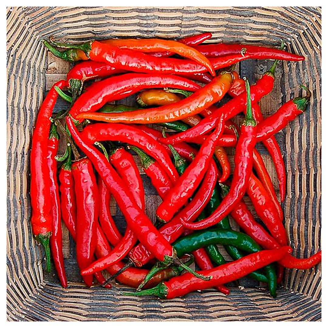 Cayenne Pepper Seeds – Long Red Chili Vegetable Seeds for Planting, High Yield, Non-GMO, Heirloom Hot Pepper Variet | Neera Seeds product photo [neera-v4-eba1172e61b2f52cc312]