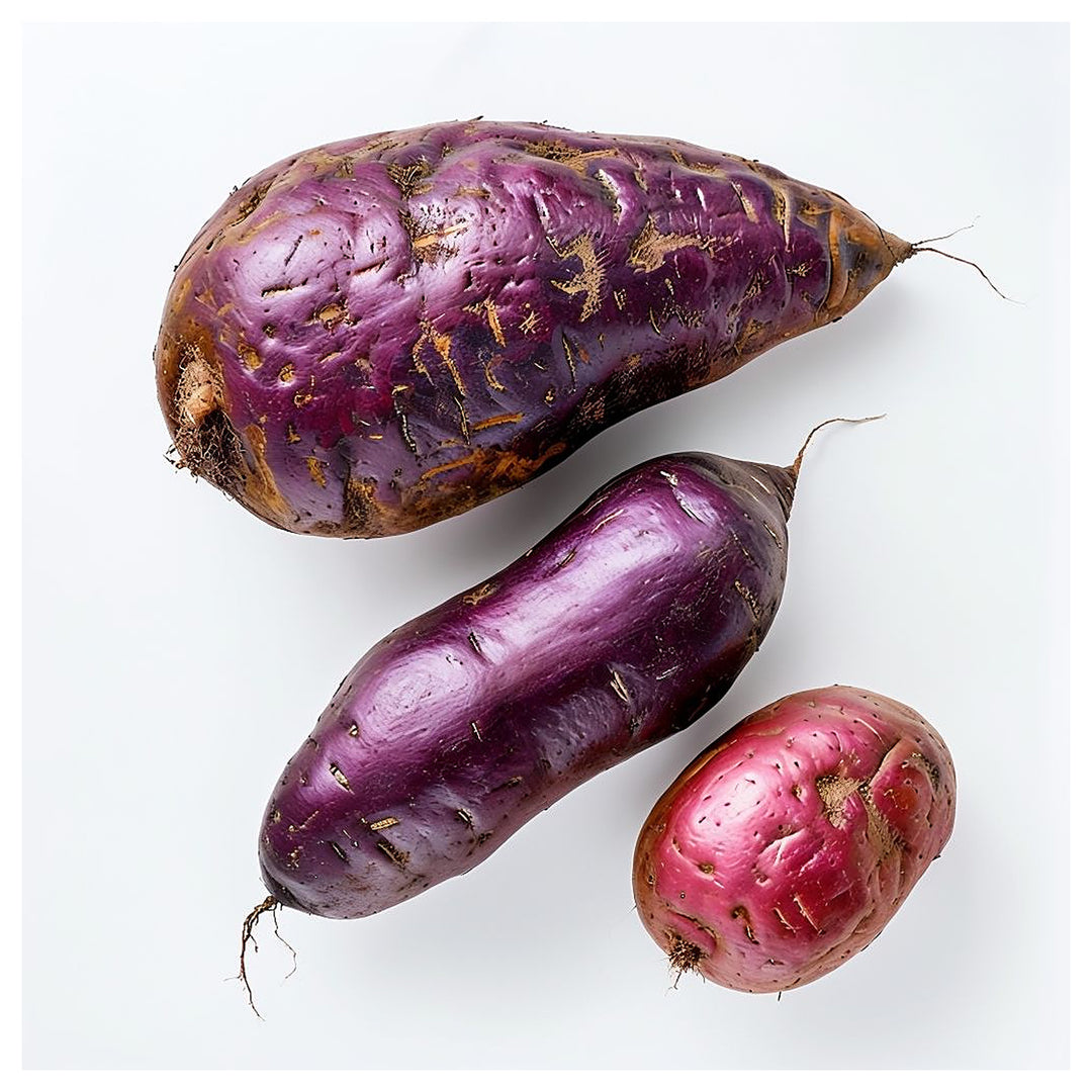 Dark Violet Sweet Potato Vegetable Seeds for Planting – Heirloom, Non-GMO, Organic Garden Seeds with High Germinati | Neera Seeds product photo [neera-v4-ebbbbbbb667127a623e1]