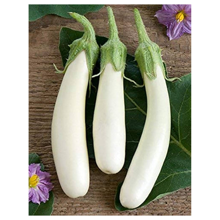 Brinjal Eggplant F1 White Long Seeds for Planting – Heirloom, Non-GMO, High Germination Organic Vegetable Seeds | Neera Seeds product photo [neera-v4-ec3f7dc86247ce83d44a]