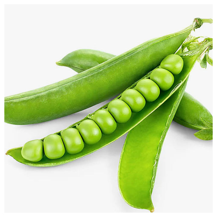 Green Peas (Winter Variety) Seeds for Planting – Cold-Resistant, Heirloom Vegetable Seeds for Cool Season Gardening | Neera Seeds product photo [neera-v4-ed3c0db79b25a75f7bba]