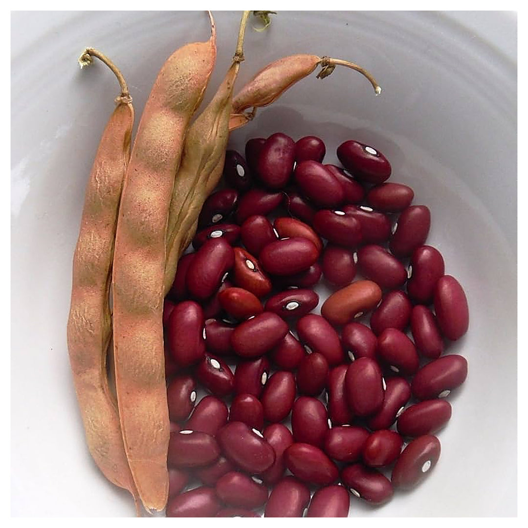 Red Heirloom Non Gmo Dark Kidney Beans High Yield Nutritious Beans Flower Seeds Home Garden | Neera Seeds product photo [neera-v4-eda723f1e1c130742baf]