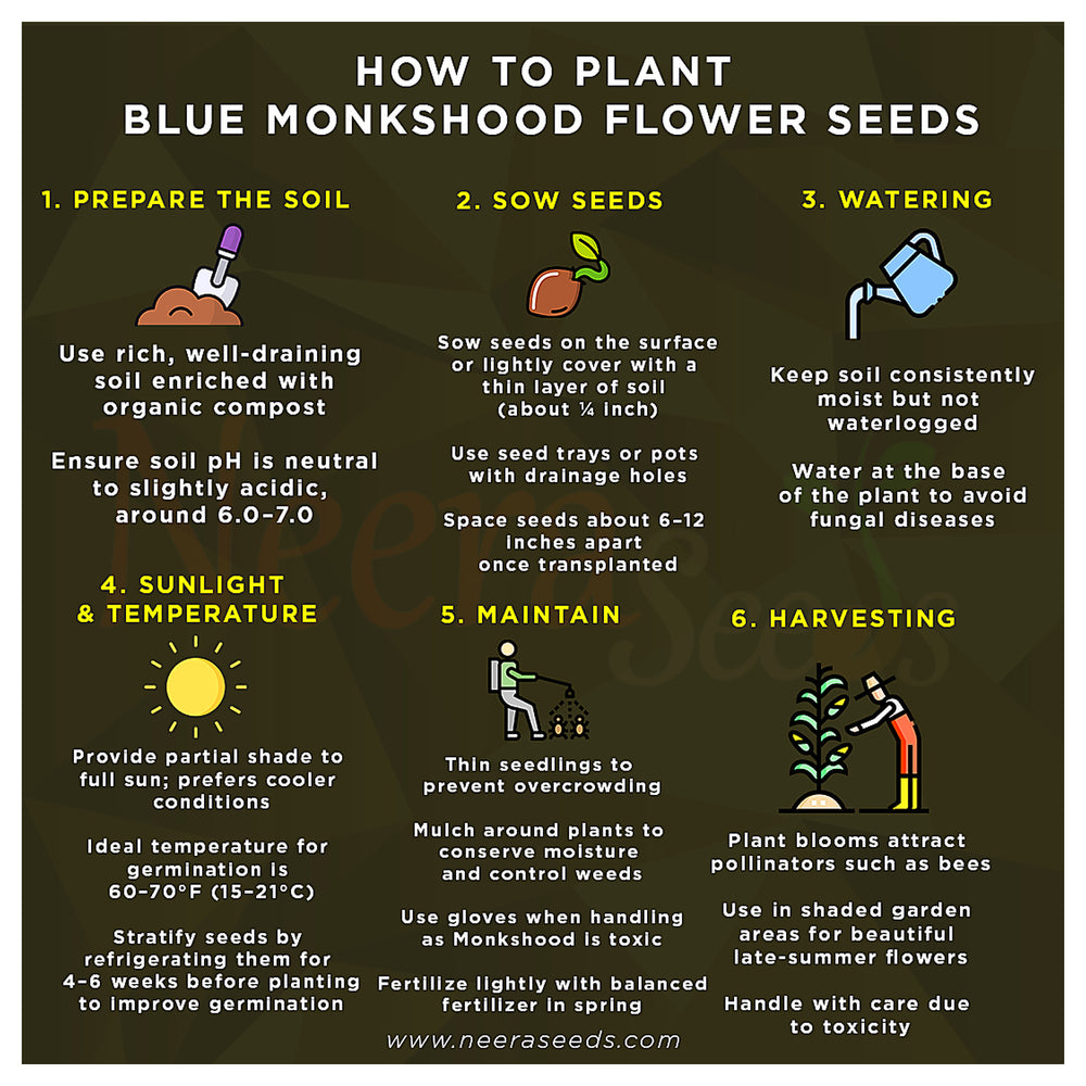 Blue Monkshood Flower Seeds for Planting – Rare Perennial Garden Blooms | Neera Seeds product photo [neera-v4-eef01cdcdb570a0d2cb3]