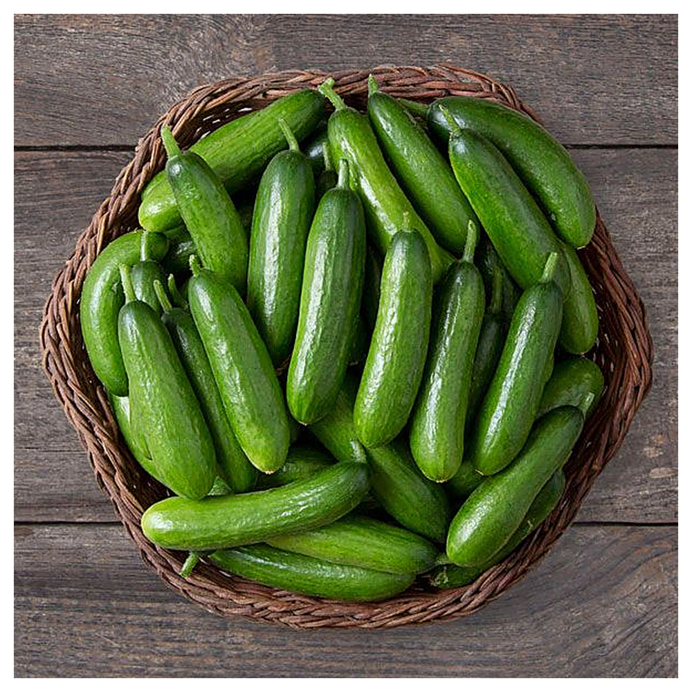 Heirloom Cucumber School Baby F1 Seeds for Planting – Organic, Non-GMO, High Germination Vegetable Seeds | Neera Seeds product photo [neera-v4-ef105a46e688bfad7492]