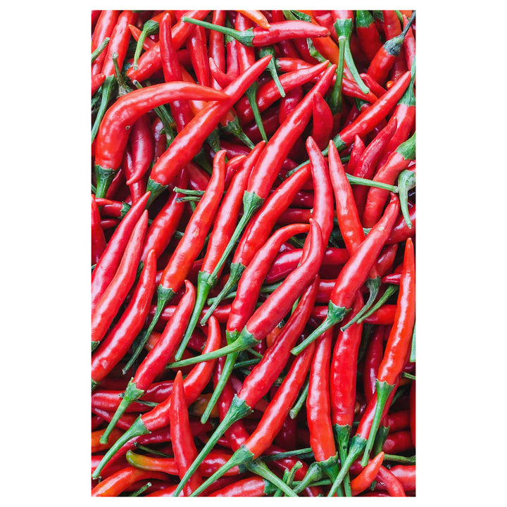 Cayenne Pepper Seeds – Long Red Chili Vegetable Seeds for Planting, High Yield, Non-GMO, Heirloom Hot Pepper Variet | Neera Seeds product photo [neera-v4-f09d318fbc180e9db56a]