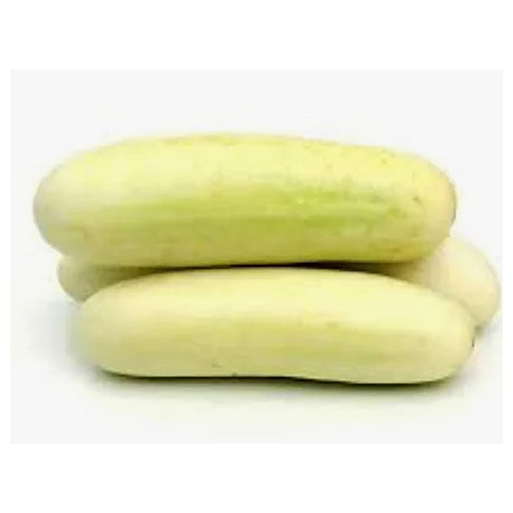 Indian White Cucumber Seeds for Planting – Heirloom, Non-GMO, High-Yield Vegetable Seeds for Home Garden | Neera Seeds product photo [neera-v4-f19e9c7db3465dd1c5a2]