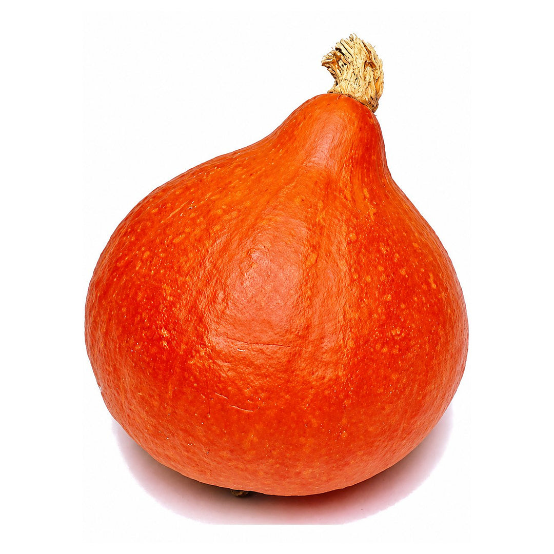 Uchiki Kuri Pumpkin Seeds for Planting – Organic, Heirloom, Non-GMO, High Germination Garden Seeds | Neera Seeds product photo [neera-v4-f29a7c8573a6ce7be6de]